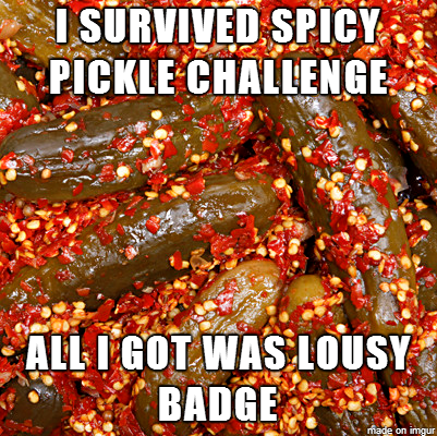 All I got was this Lousy Badge link building badge