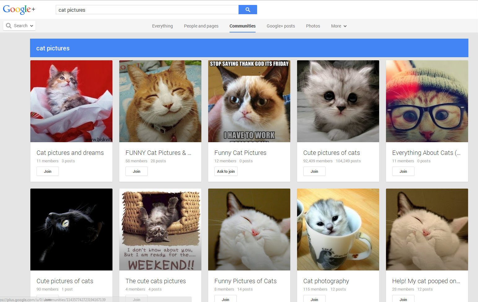 googlecatsedited