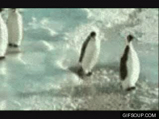 penguinslap
