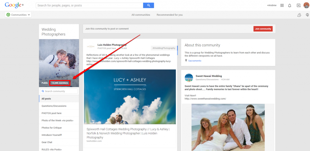 Google Plus Wedding Photog Community Page with Arrow