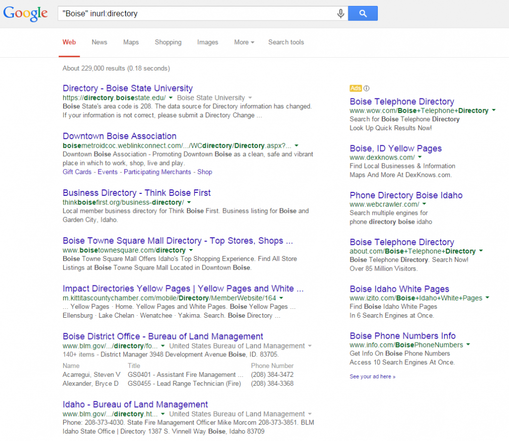 Advertising Example Local Directory SERP