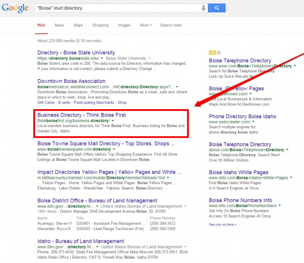 Advertising Example Local Directory SERP with box