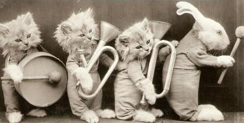 tinycats