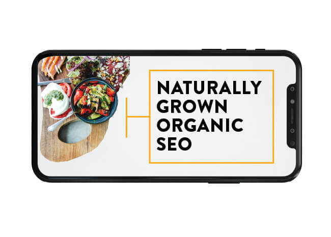 Naturally grown organic SEO image