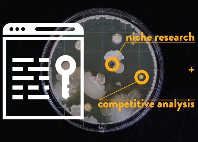 Niche research and competitive analysis