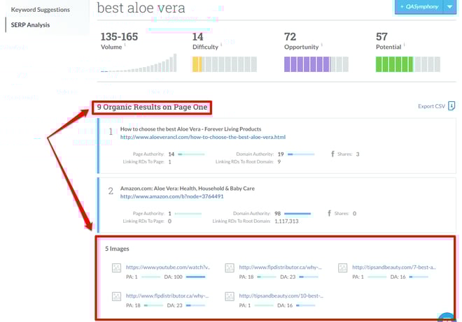 SERP_Analysis_Best_Aloe_Top.png
