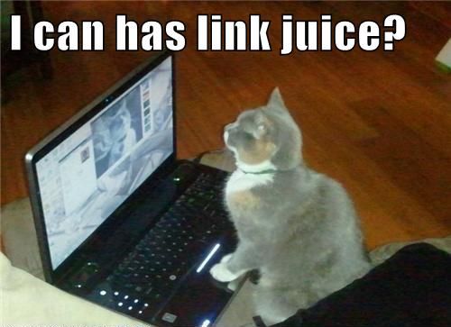 can-haz-link-juice