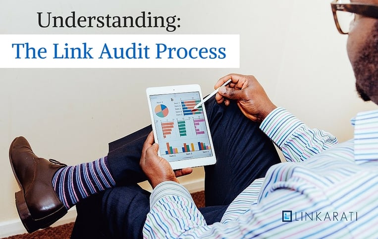 Understanding the link audit process image