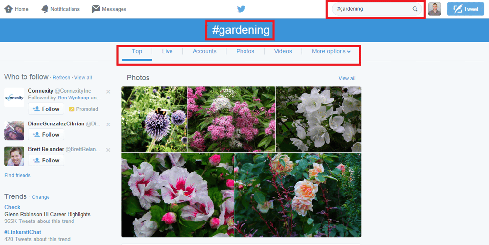 gardening_on_Twitter