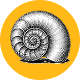 GEO is the logical evolution of SEO Icon
