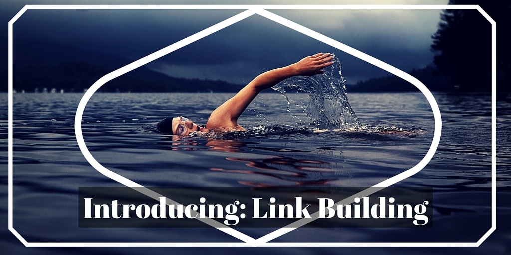 Introducing-_Link_Building