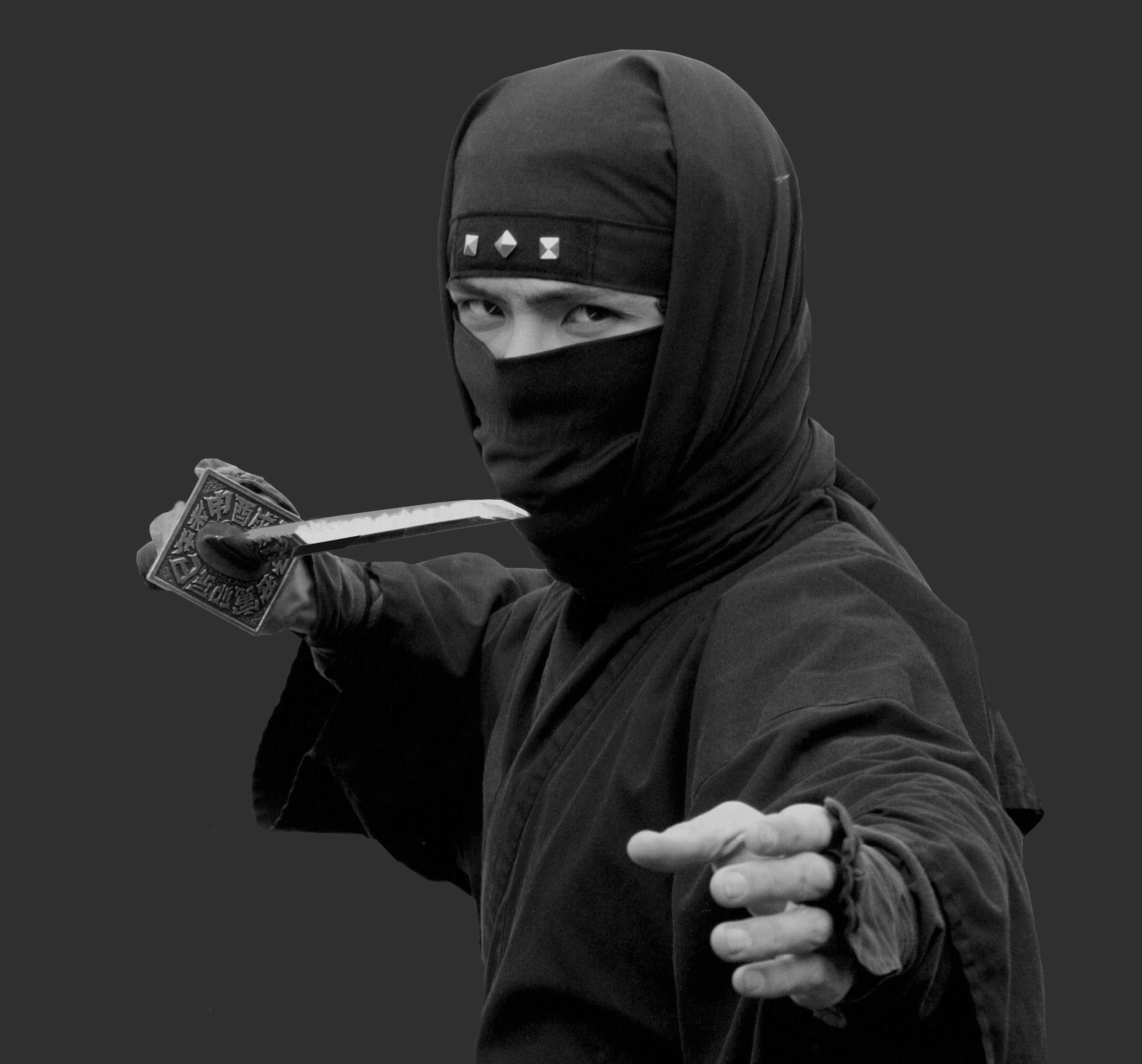 Ninja image